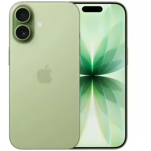Apple iPhone 17 Sauge