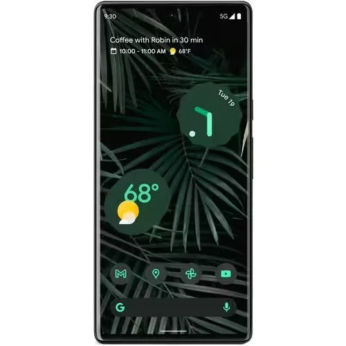 Google Pixel 6 Pro
