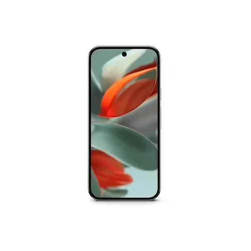 Google Pixel 9 Pro Sauge