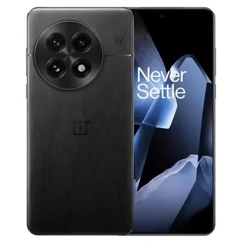 ONEPLUS 13