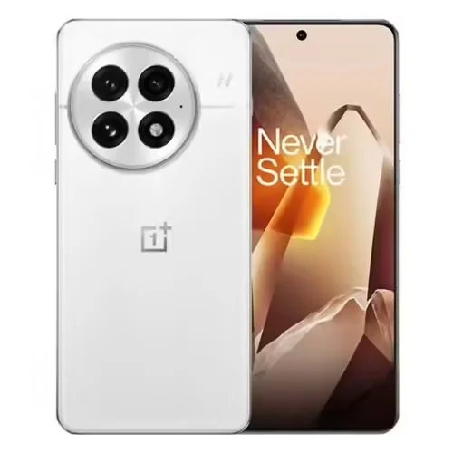 ONEPLUS 13