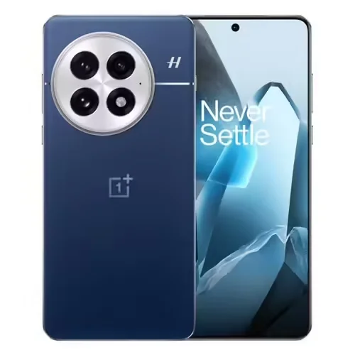 ONEPLUS 13